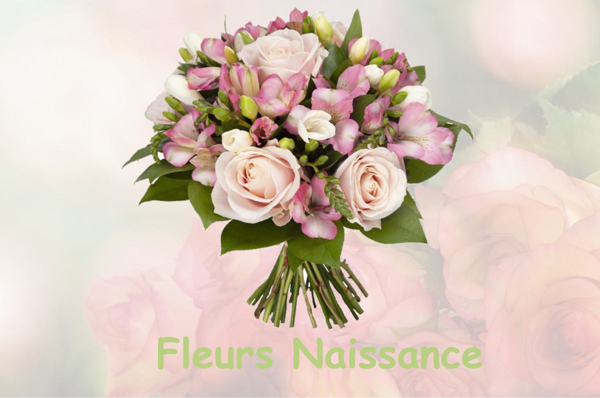 fleurs naissance ARRENS-MARSOUS